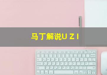 马丁解说U Z I